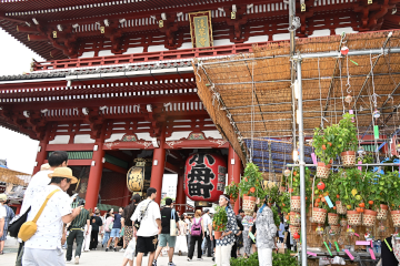 四万六千日・ほおずき市