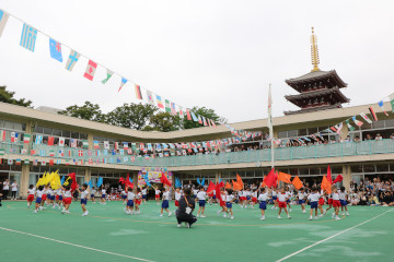 浅草寺幼稚園運動会